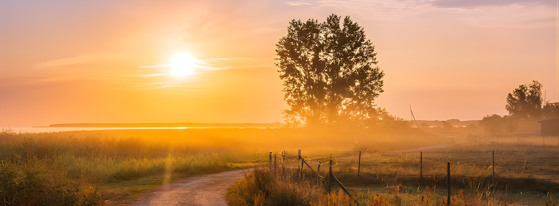 Every Morning Is by his Mercy