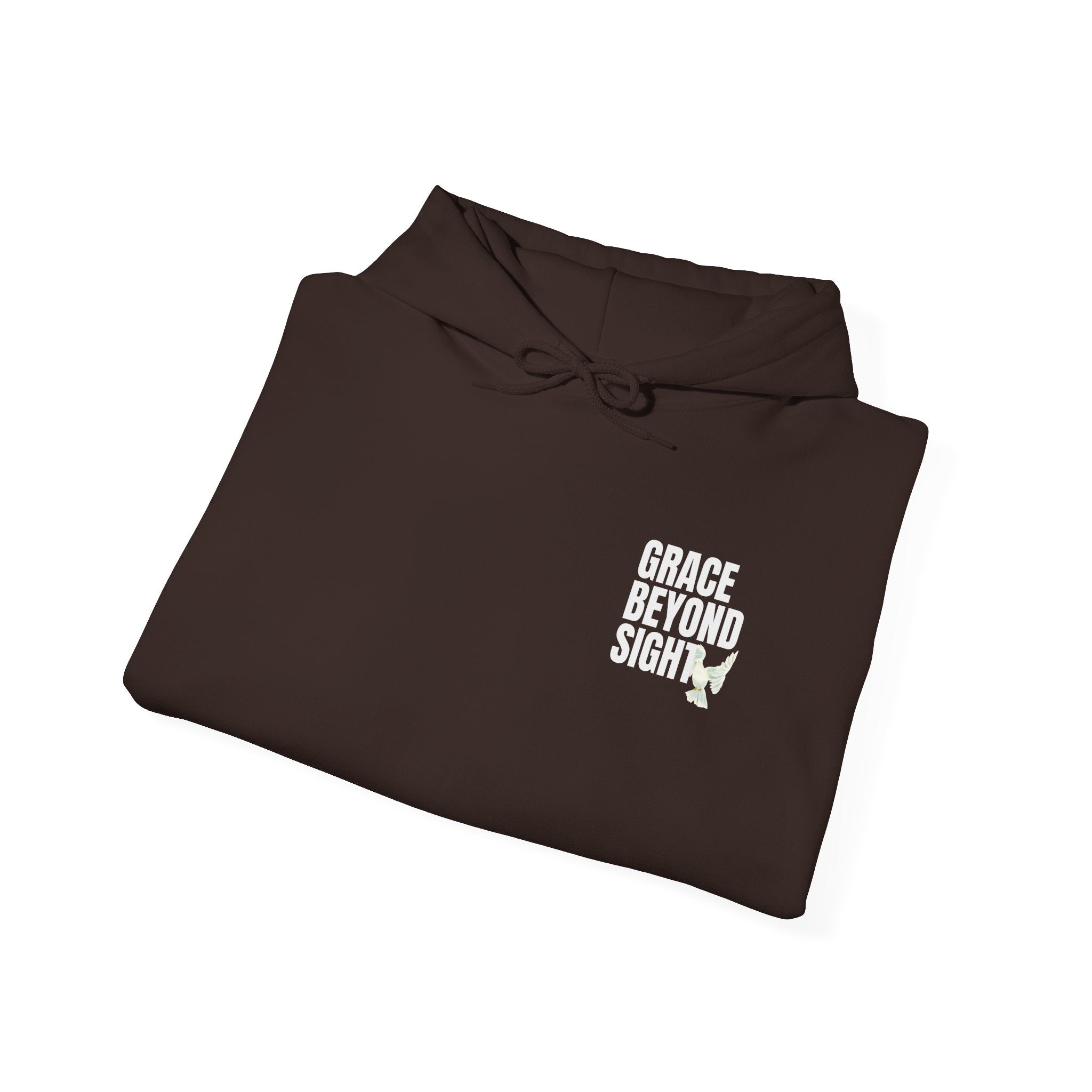 Grace Beyond Sight Unisex Hoodie
