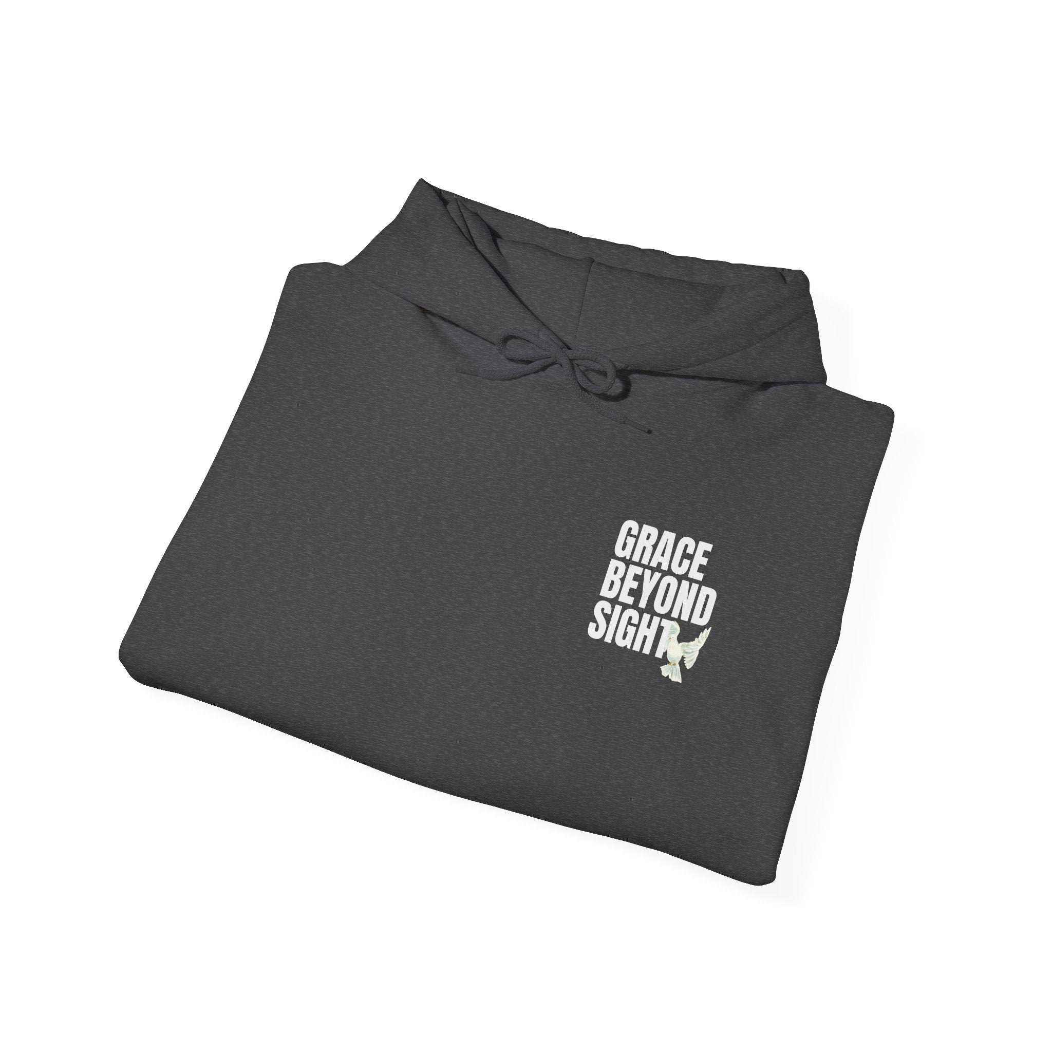 Grace Beyond Sight Unisex Hoodie